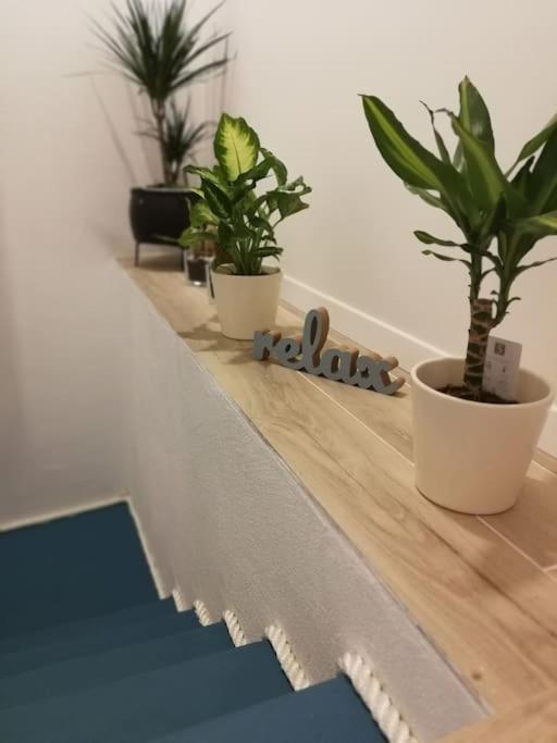 Holiday Home Babi Baška Voda Εξωτερικό φωτογραφία